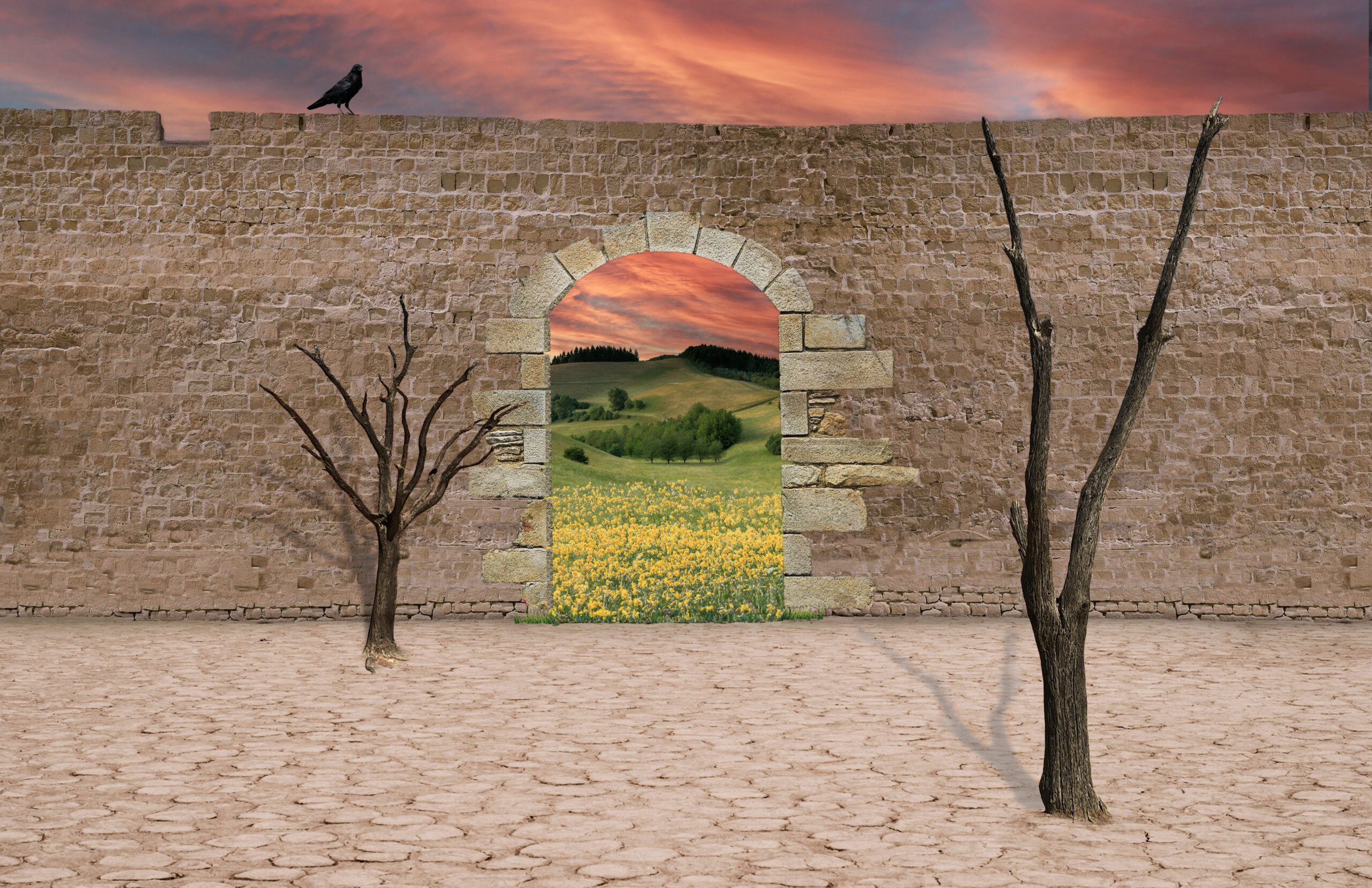 Featured image for “Composite Project”